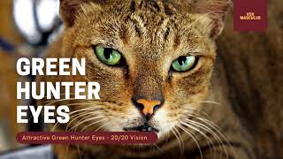 Green Hunter Eyes amp 2020 Vision  Powerful Subliminal [upl. by Loss]