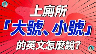 上廁所「大號、小號」的英文怎麼說？大集合啦 [upl. by Mingche]