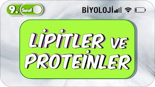 Lipitler ve Proteinler  Öğrenme Garantili Özet Anlatım 2023 [upl. by Shurlock990]