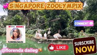 💞Splash Safari A Splashin’ good time Singapore Zoo florendadaileg💥 [upl. by Essila]