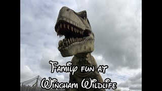 Family fun at Wingham Wildlife Park Part 1 [upl. by Adnohs700]