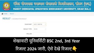 PDUSU BSC Result Kaise Dekhe 2024  BSC 2nd amp 3rd Year Result Check Kaise Kare 2024 [upl. by Reiser]