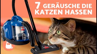 7 GERÄUSCHE die KATZEN am meisten HASSEN 🐱🔊❌ Was Katzen nicht ausstehen [upl. by Morie]