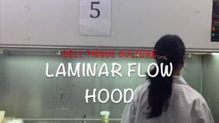 Laminar Flow Hood SOP [upl. by Ober812]