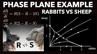 Phase Plane Analysis Worked Example  Rabbits Vs Sheep Species Competition Population Biology [upl. by Ldnek724]