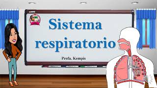 Sistema respiratorio [upl. by Oluap440]