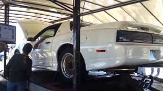 1988 Pontiac Trans Am Dyno [upl. by Adnahsor31]