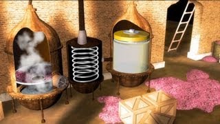 Cosmétiques  Comment fabriqueton un parfum [upl. by Ylam]