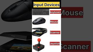 Most common input device in computer cbsecomputereducation computerskills computer inputdevices [upl. by Thunell829]