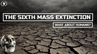 What Does The Sixth Mass Extinction Mean For Humans [upl. by Gnehc]