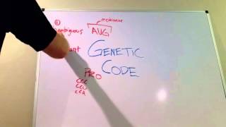 Four Features of the Genetic Code [upl. by Ekram]