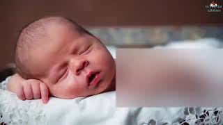 4 Hours Relaxing Baby Sleep Music Make Bedtime A Breeze With Lullaby No 12 [upl. by Hoxie180]