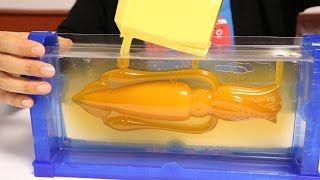 Giant SquidArchiteuthis dux Gummy Making Kit [upl. by Ellehsyt]