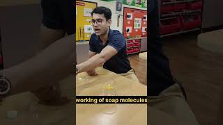 Soap molecules  Hydrophobic and hydrophilic parts of soap  cleaning action of soap  physicswalla [upl. by Gnouhk]