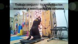 ejercicios con reformer mas springboard [upl. by Alathia]