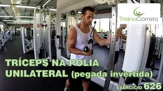 626 TRÍCEPS NA POLIA UNILATERAL COM PEGADA INVERTIDA  Treino Correto [upl. by Rome]