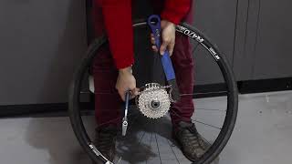 How To Remove a Shimano Freehub Cassette  Tech Tip  Tredz Bikes [upl. by Most]