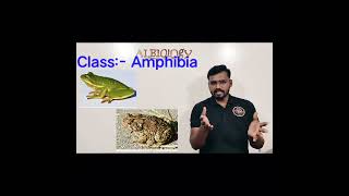 Class Amphibia  Animal classification  Viral Short  Avinash sir [upl. by Tereve]