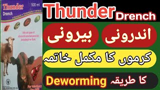 Thunder Drench Kill All Type Of Internal and External Parasites Including Liver Fluke  Urdu Hindi [upl. by Nwahsyar550]