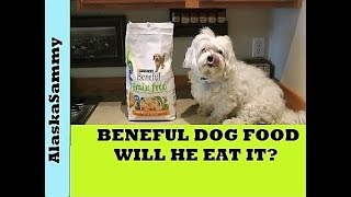 Beneful Dog Food Review [upl. by Anihpesoj165]