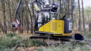 DYNA FOREST  PELLE FORESTIERE SANY SY155  GRUE WARATAH  555H NISULA [upl. by Fermin]