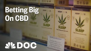 Betting Big On CBD How To Start A Business Few People Understand  NBC News [upl. by Hock]