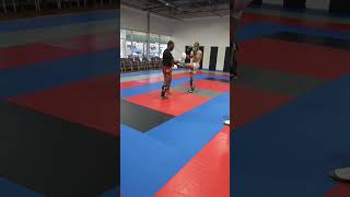 Sweep from a push kick [upl. by Avlem]