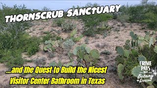 Thornscrub Sanctuary amp Land Conservation Project in South Texas [upl. by Neelyahs77]