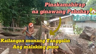 1sa sa pinakamahirap Gawin bungkalin Ang malaking Ugat ng Puno [upl. by Jarv]