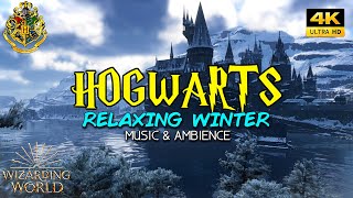 Hogwarts Legacy  Relaxing Winter Hogwarts  Harry Potter Music amp Ambience [upl. by Paterson368]