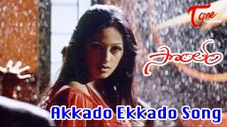 Sontham Movie Songs  Akkado Ekkado Video Song  Aryan Rajesh Namitha [upl. by Enoj]