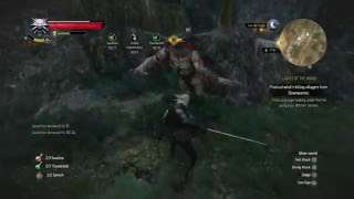 Witcher 3  Killing a Werewolf without it regenerating any health [upl. by Ahseuqram]