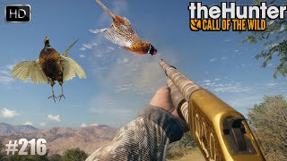 THEHUNTER COTW GAMEPLAY 216 UNE NOUVELLE CHASSE AUX FAISANS SUR LA MAP RANCHO DEL ARROYO  2023 [upl. by Elise519]