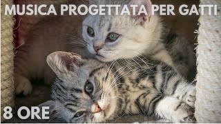 73🐱 8 ore 🐱 Musica progettata per gatti 🐱Musica Rilassante Per Gatti per calmarsi il dormire [upl. by Gnuj]