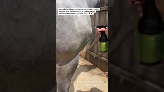 Repelente Natural Contra Moscas Spray For Horse 500ml [upl. by Durrett739]