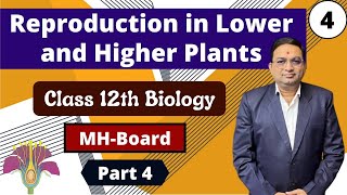 Reproduction in Lower and Higher Plants Class 12th Biology Part 4 [upl. by Aikrahs]