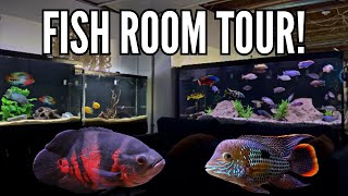 15 Cichlid Tanks in One Home Incredible Fish Room Tour [upl. by Austreng883]