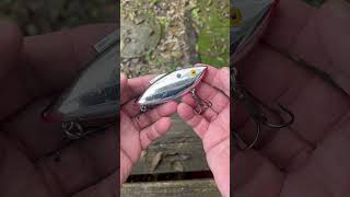 Rat L Trap Super Trap 11 10 2024 jeffmcgovern pestcoach ratltrap emmrod fishing [upl. by Guntar655]