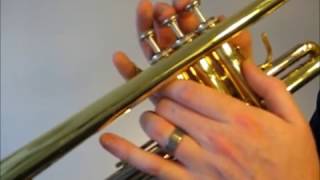 Learn to play D major scale on trumpet [upl. by Sadnalor]