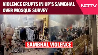 Sambhal Violence Latest News  Violence Erupts In UP Sambhal Over Mosque Survey Tear Gas Used [upl. by Coke]