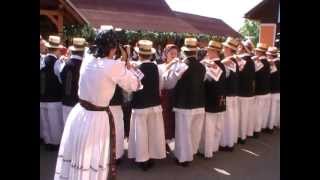 Dantausii din Grosi  Maramures 2012 [upl. by Earazed784]