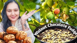 Walnut Season Walnut Chocolate Fudge Recipe Kinnaur HP [upl. by Jacobsohn]