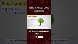 Water Cycle  Parts of Water Cycle  Evaporation  Transpiration  Water Vapour [upl. by Odnumde]