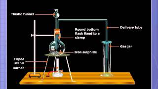 Preparation of Hydrogen Sulphide [upl. by Felicie]