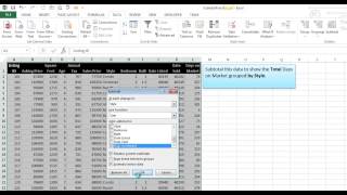 Subtotal Data in Excel 2013 [upl. by Melleta]