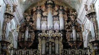 Leżajsk  XVII ct pipe organ  J S Bach Toccata and Fugue in d minor BWV 565 [upl. by Nayab]