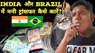 Money Transfer Between India and BrazilOther Countries  Hindi [upl. by Einavoj]