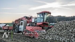 Holmer Terra Felis 2  Rübenverladen · loading beet [upl. by Neenwahs684]