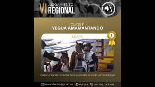 Vl Juzgamiento Regional del Caballo Pinto Costarricense 2024  Hembras  0506102024  ASOPINCO [upl. by Obaza]