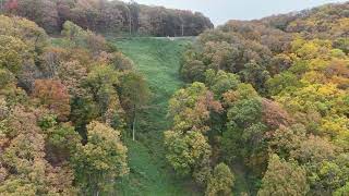 Fall Colors Ellijay GA November 2024 [upl. by Ahsikan481]